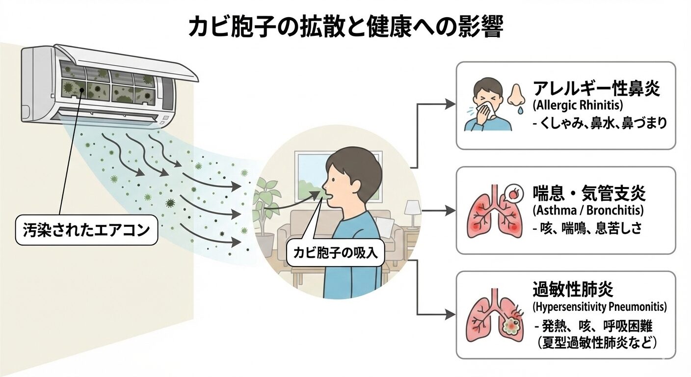 エアコンのカビ胞子による健康被害プロセス